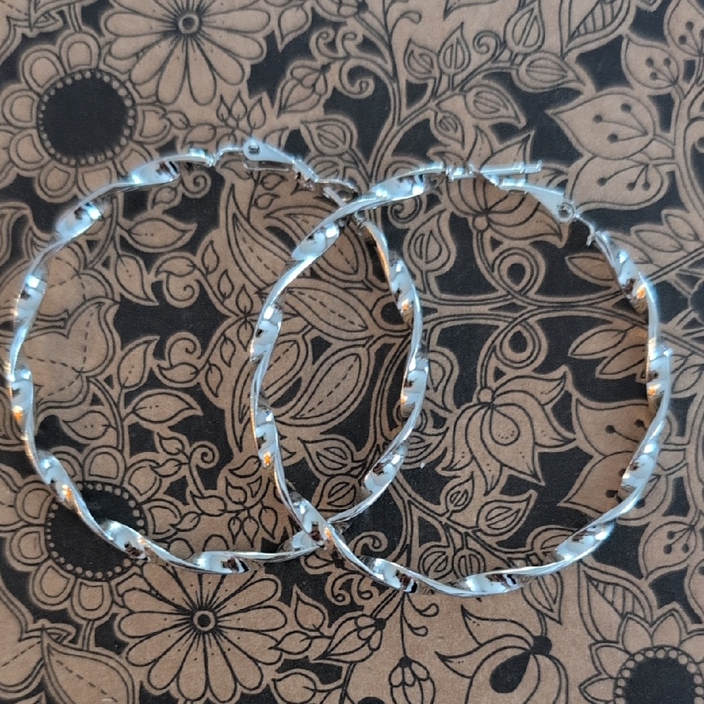 Silver Stainless Steel Spiral Hoop Earrings